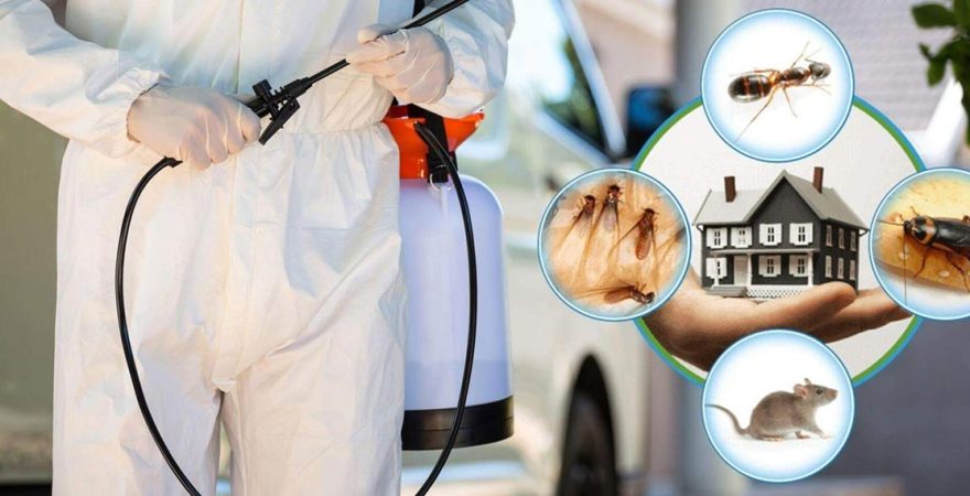 Çeltikçi Böcek İlaçlama