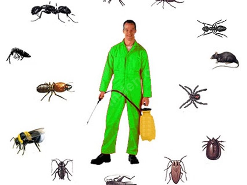 Çeltikçi Böcek İlaçlama